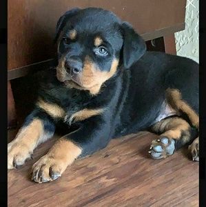 Meet your Posher, Alejandra